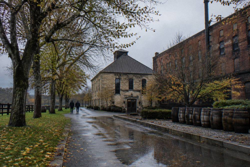 A country road lined with autumn trees leading toward a limestone distillery building