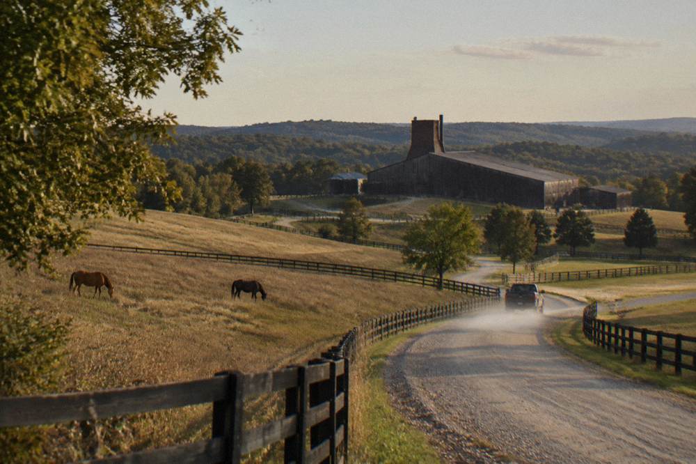 A country road winding through Kentucky horse farm fences toward a distillery