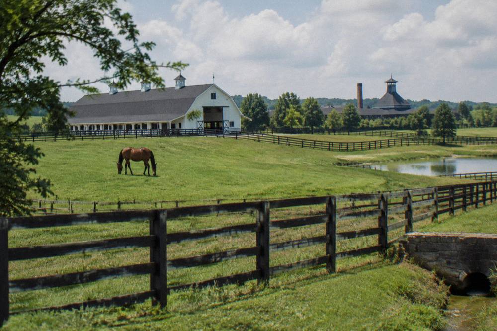 Rolling green pasture with a horse farm barn in the Kentucky Bluegrass region under a partly cloudy sky