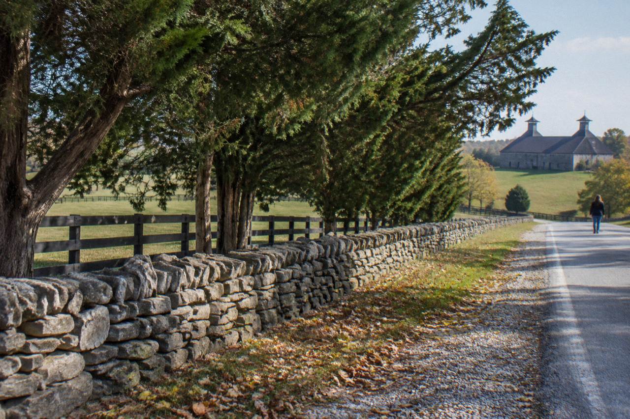 Wooded limestone fence line and rolling hills along a country road in central Kentucky bourbon country