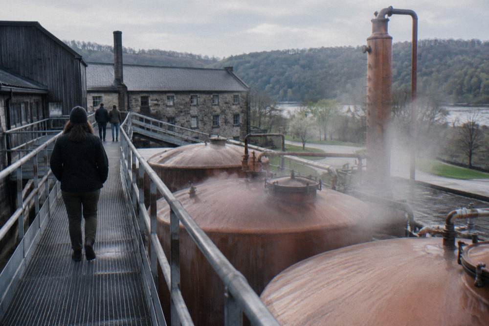 A distillery guide leading a small group along a catwalk above copper fermentation tanks