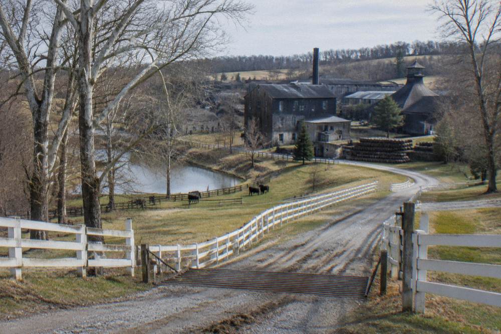 Rolling Kentucky pasture with fenced horse farm along the drive to Frankfort