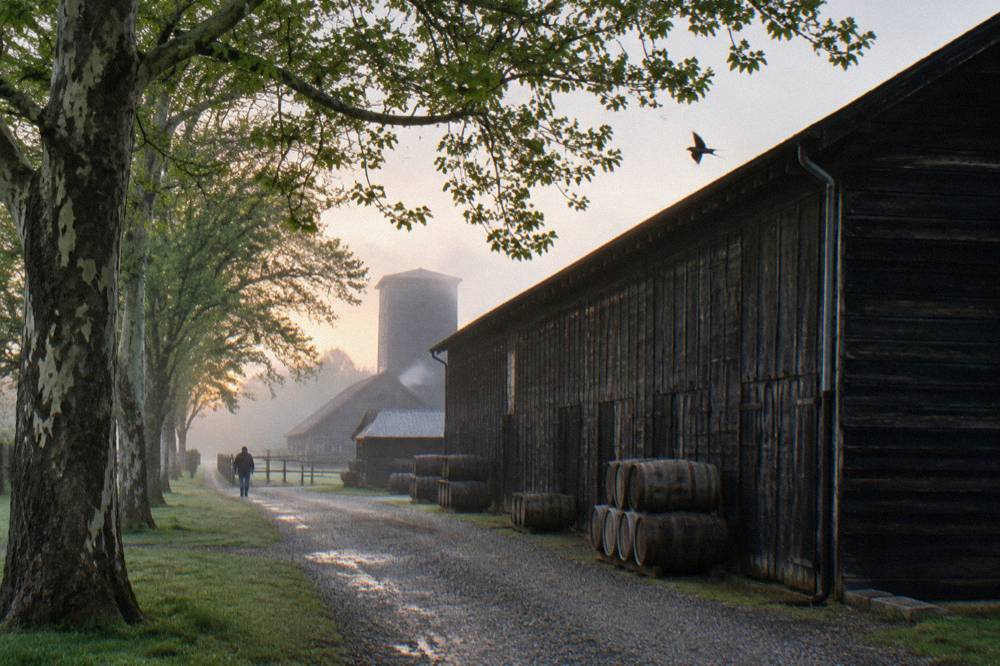 Weathered wooden bourbon rackhouse with black corn crib cladding among trees in rural Kentucky