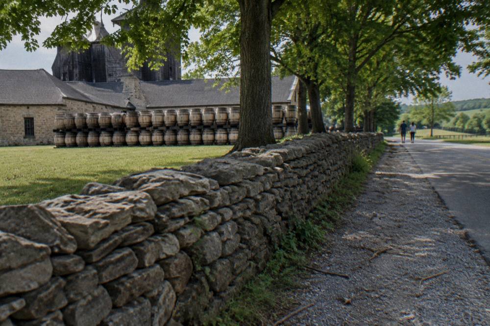 Wooded limestone fence line along a rural road between Kentucky distillery towns