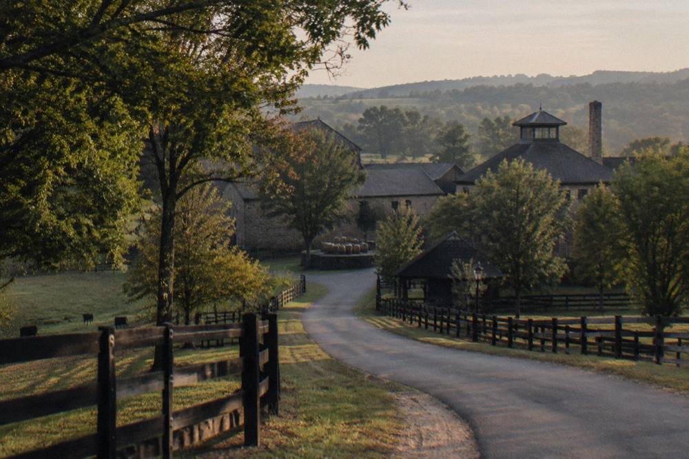 A country road winding past wooden fences toward a Kentucky distillery