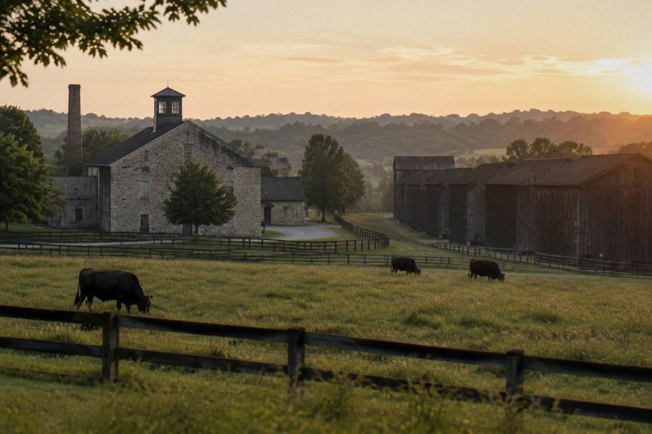 Rolling Kentucky farmland with a limestone distillery building and rickhouses in the distance at golden hour