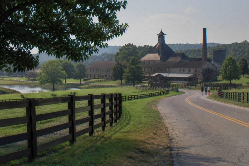 Country road winding past fenced horse farms toward a distillery campus