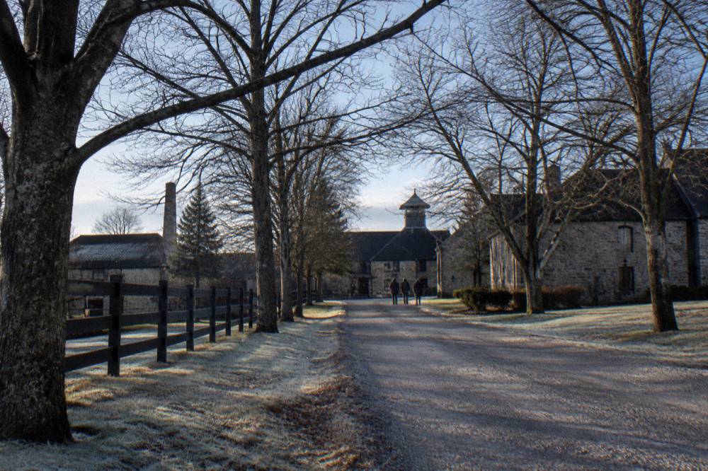 A long tree-lined lane approaching low stone distillery buildings in rolling Kentucky hills